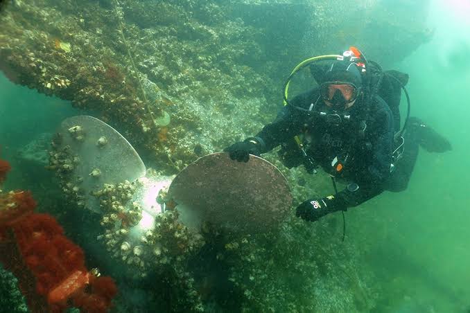 Clean and inspected snorkeling and diving rental gear