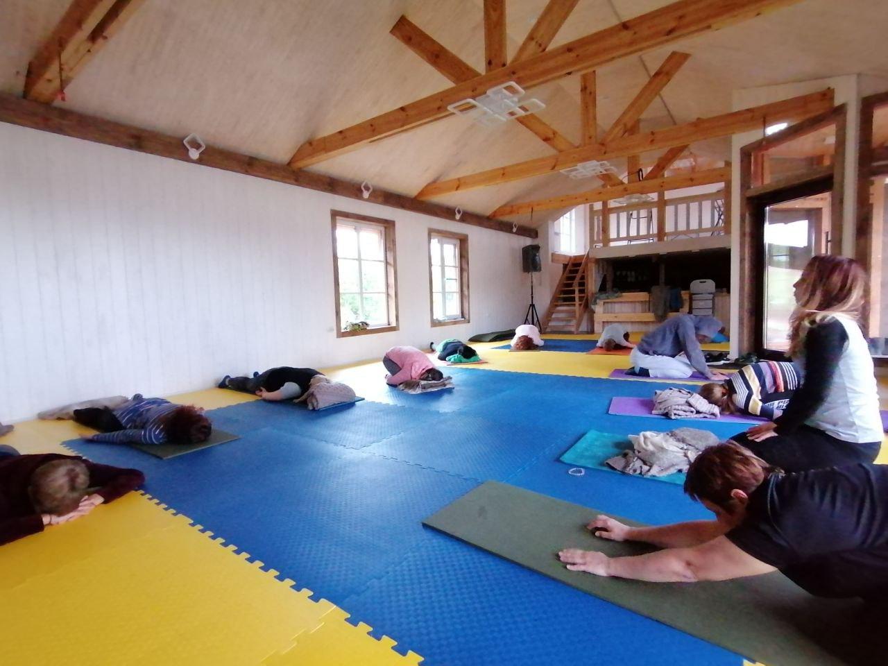 Yoga class in progress with natural light