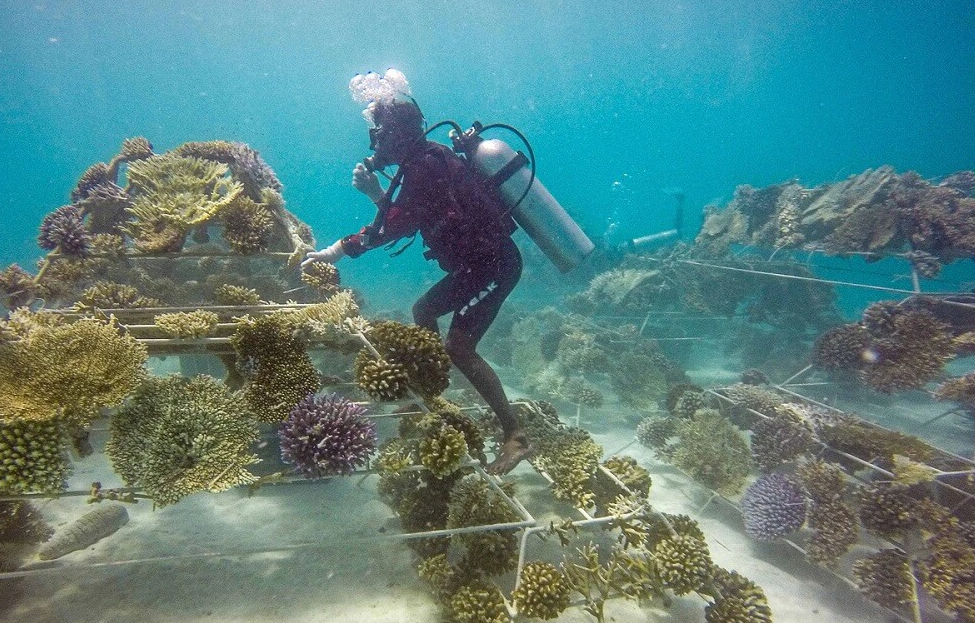 Volunteers sorting marine debris after dive
