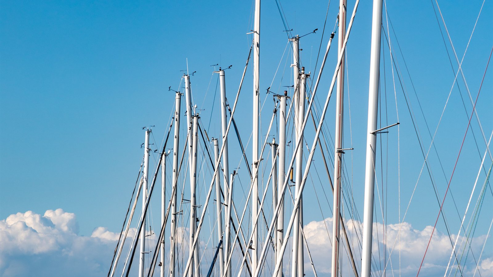 Yachts moored in a marina at dusk