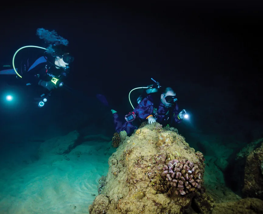 Underwater photographer illuminating a wreck corridor at night
